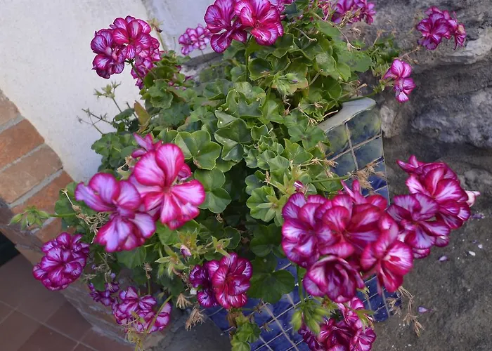 Baglio La Luna - B&B Bed & Breakfast San Vito Lo Capo